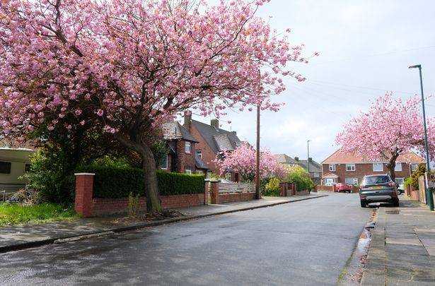 Dormanstown residents talk about the Tees Valley mayoral election.  Streets around Dormanstown.